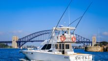 Shoki Sydney Harbour