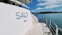 Salt rear deck